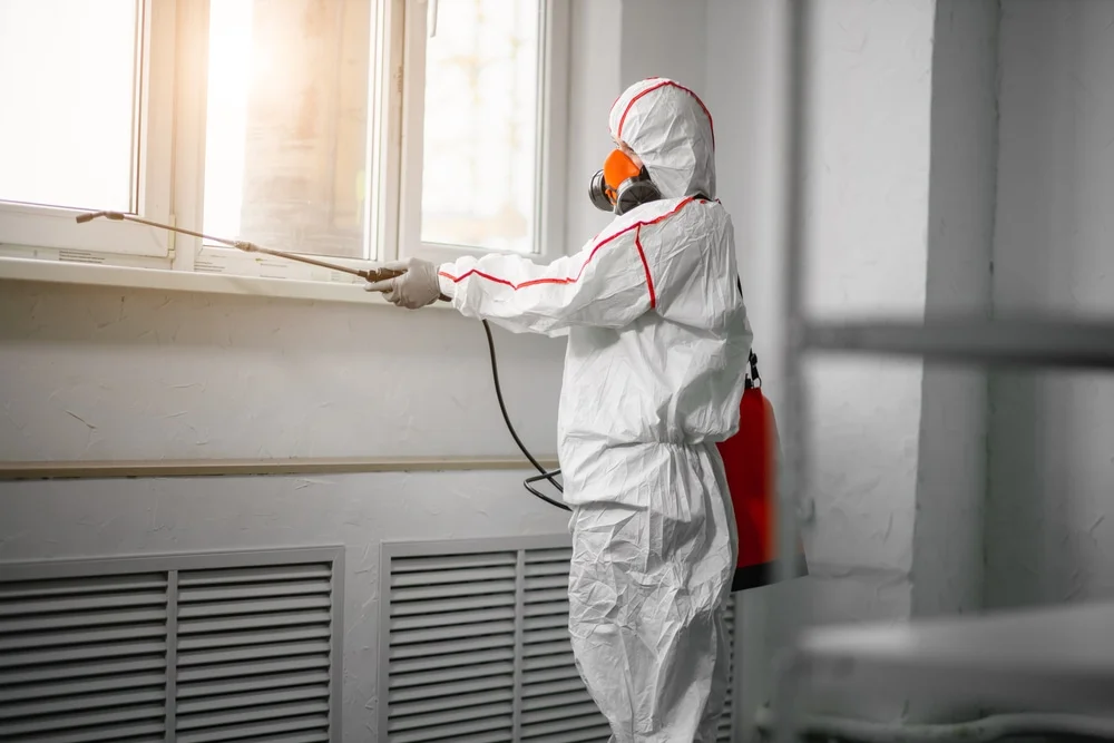 Professional mold remediation services in Windsor Heights, IA